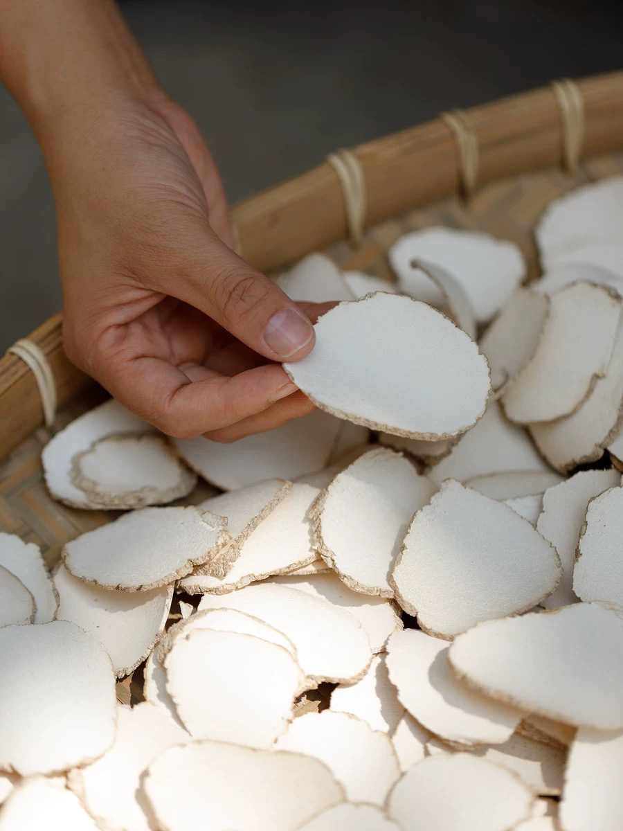 大片虎奶菌500g 老虎奶乳菌片虎乳灵芝虎奶菇煲汤煮水非鱼胶