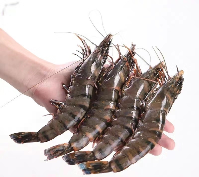 【张哈哈‖新疆包邮】黑虎虾大号斑节虾肉厚壳薄纯干无冰鲜甜紧实