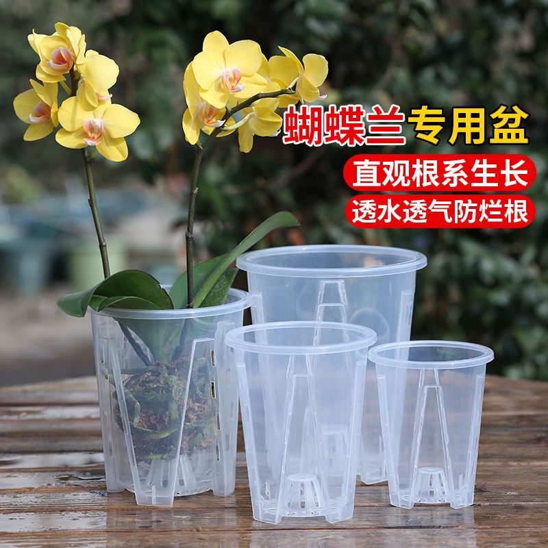 透明青山盆控根花盆蝴蝶兰专用盆塑料花盆透气家用海芋花烛控根盆