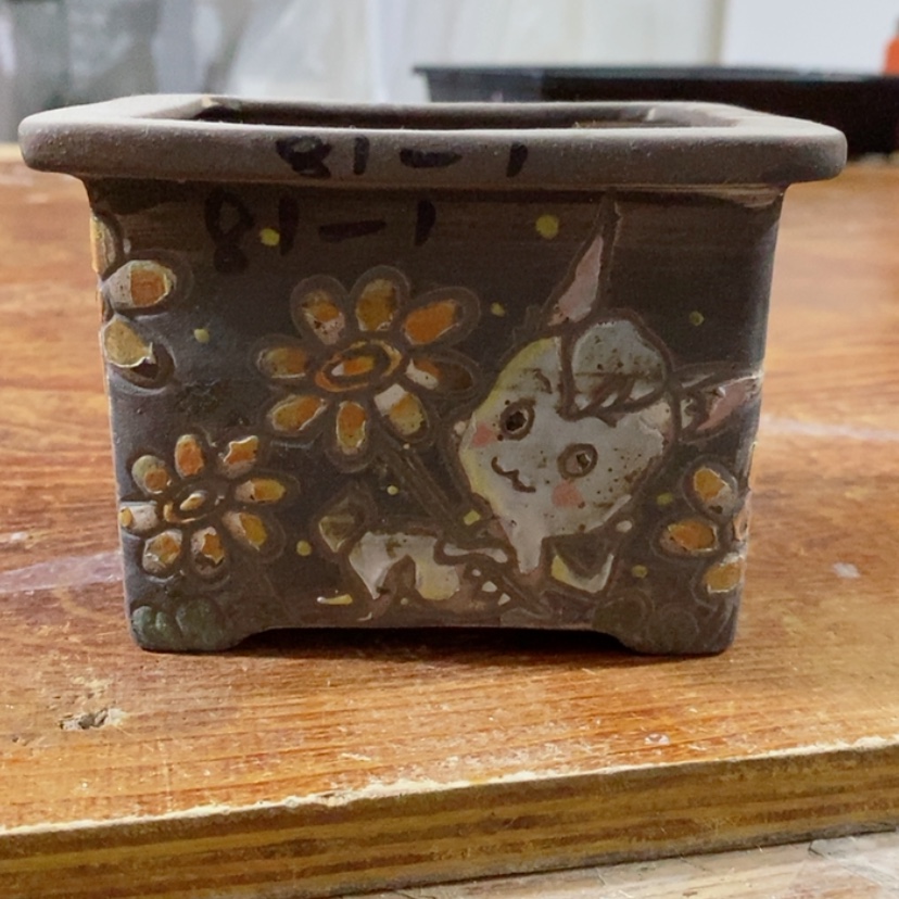 【闪购商品】红陶171cm(含)-200cm(含)