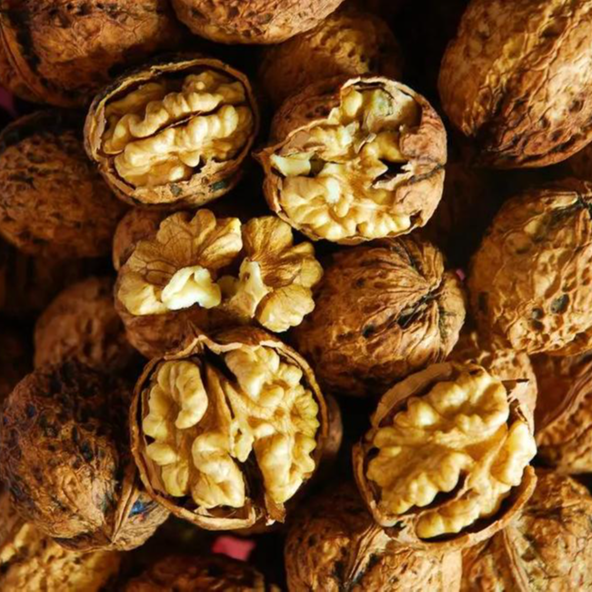 【1老树核桃】新核桃2024新高山老树核桃纸核桃农家核桃原色原味