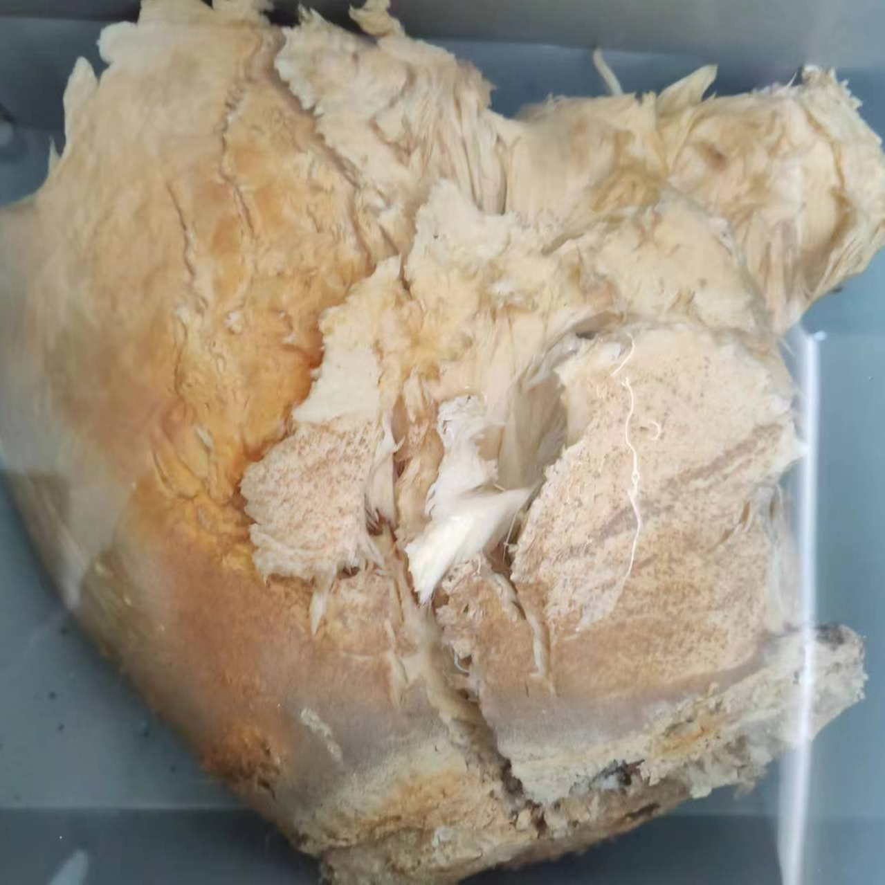 精品肉丝灵芝11斤泡水养生佳品