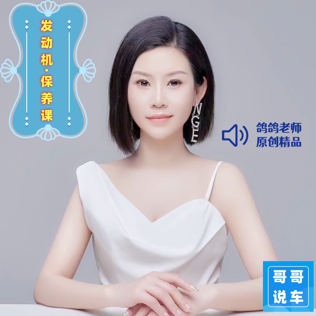 鸽鸽（发动机保养课）必修（下单后联系客服领课）