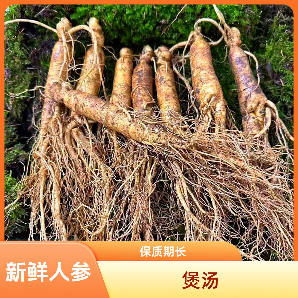 长白山新鲜人参 煲汤参 煮茶 整根鲜人参食用农产品滋补泡酒鲜参