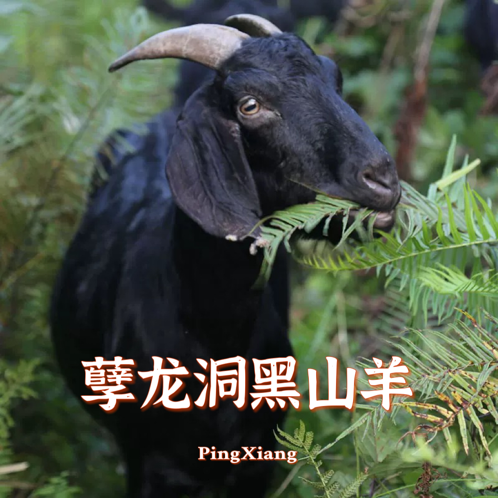 （羊头）萍乡上栗孽龙洞正宗黑山羊肉1个