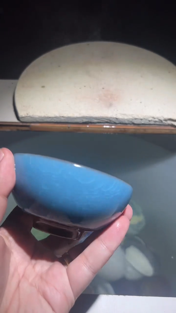 【闪购商品】瓷蓝冰花