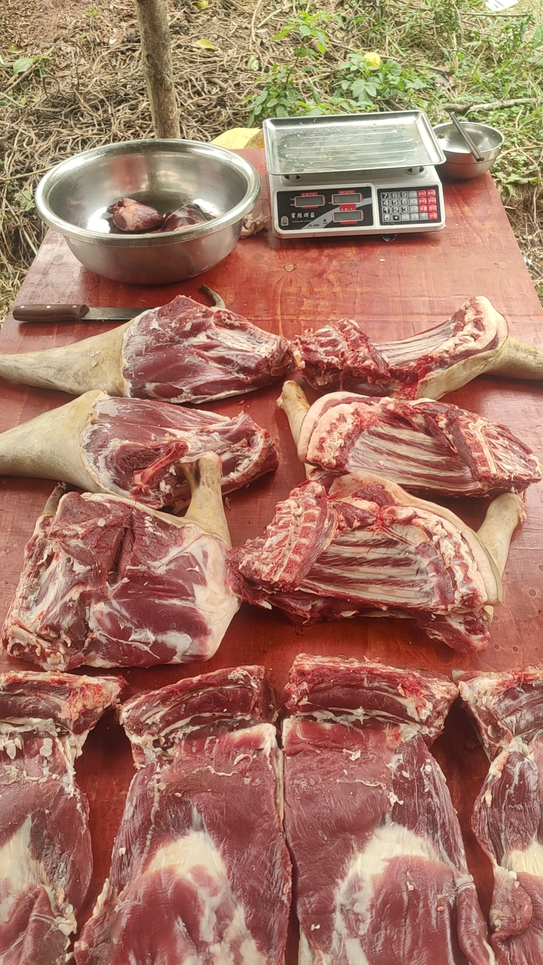 羊杂 【直播间现称改价】分割后不退四川农村散养的黑山羊鲜羊肉