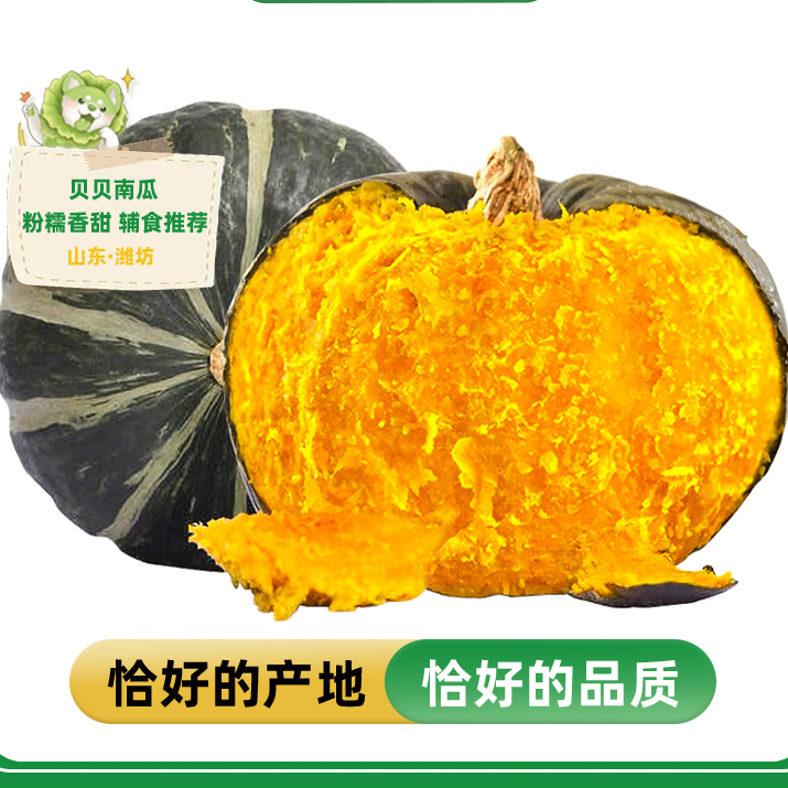 【坏果包赔】贝贝南瓜新鲜板栗小南瓜板栗面老南瓜婴儿孕妇粉糯好吃