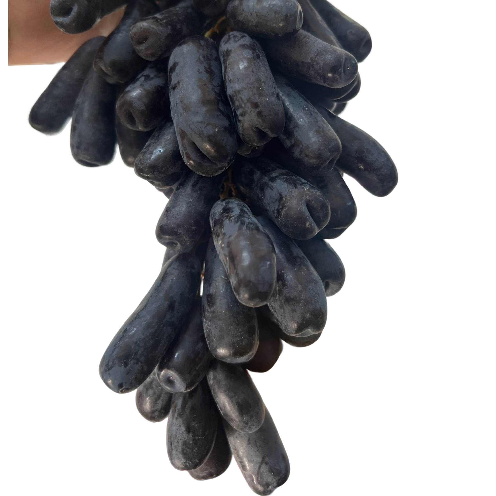 【粉丝团福利】新疆美人指45.8一件