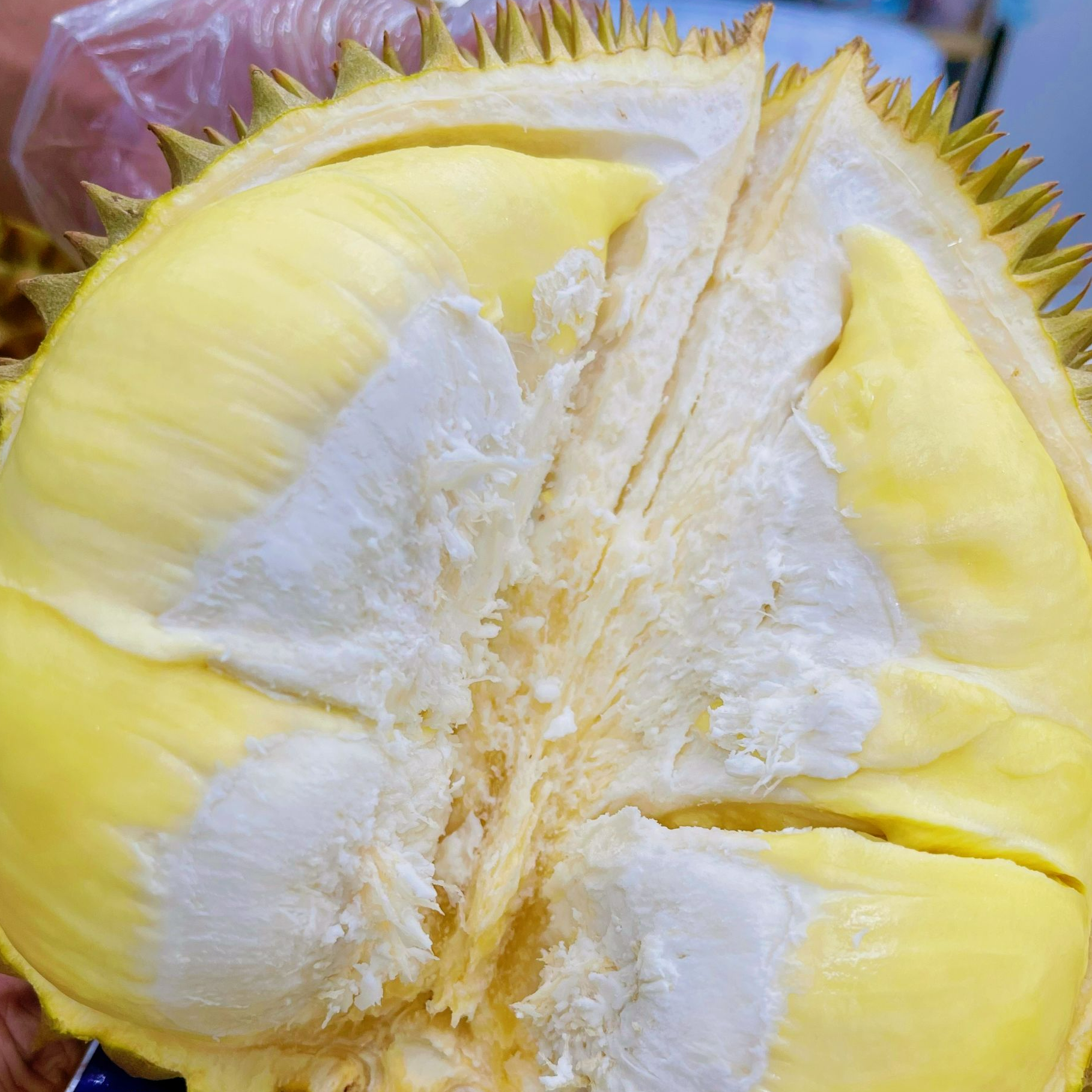 泰国树熟金枕榴莲新鲜整果软糯香甜4-8斤