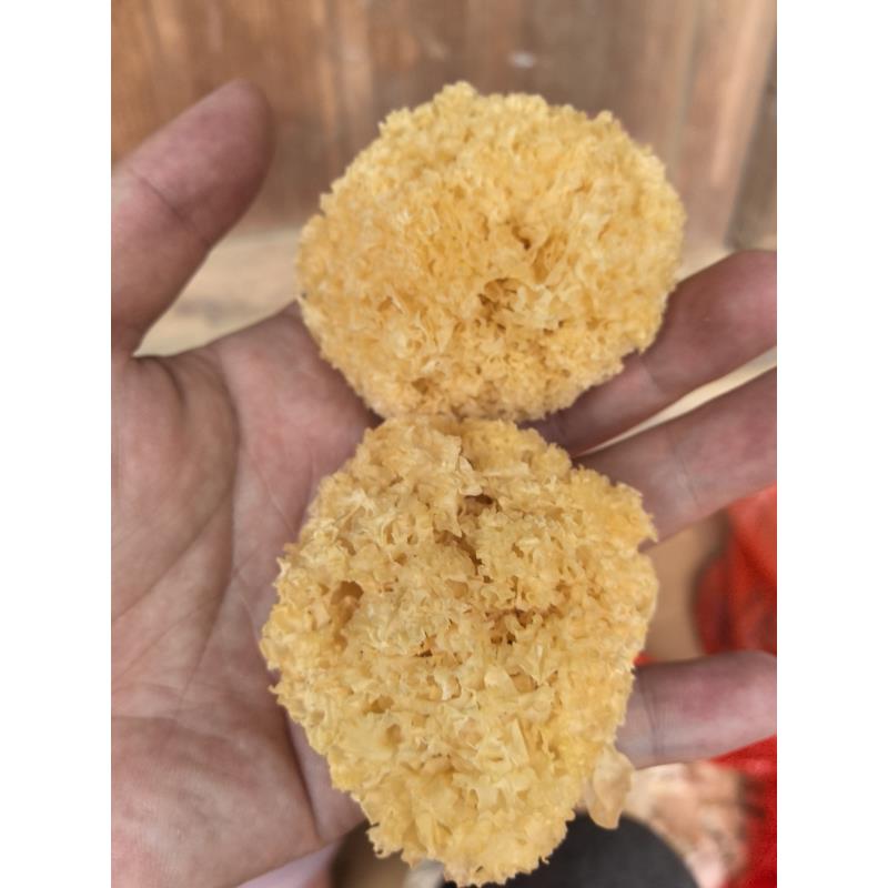 【现收好物-银耳-100g