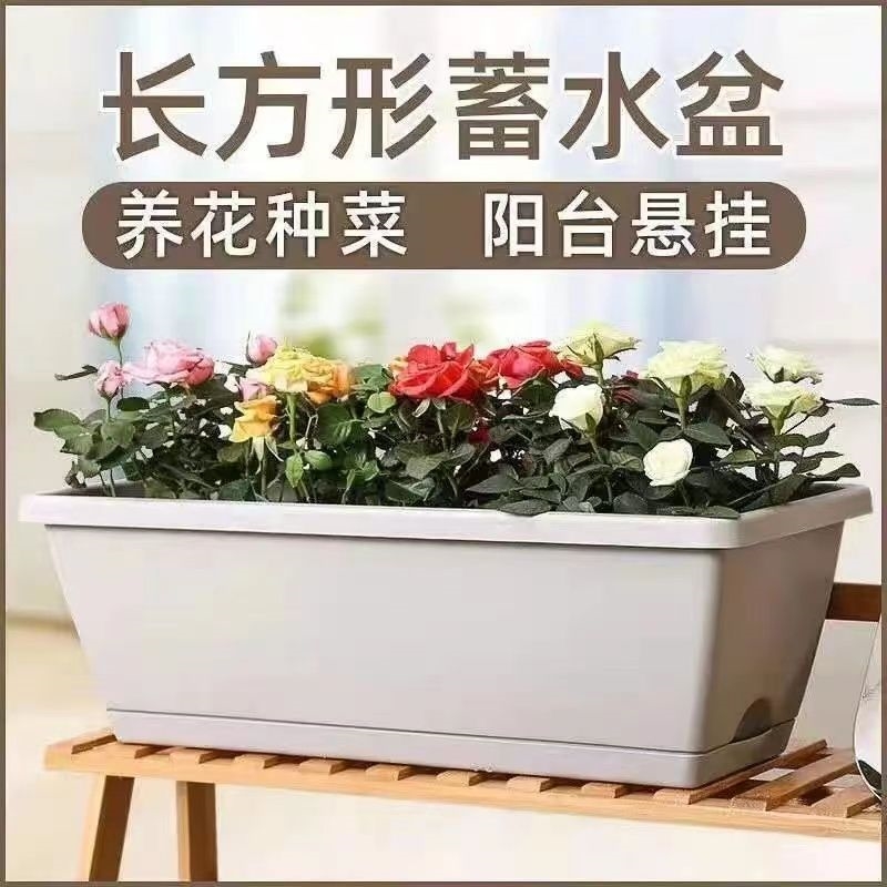 楼顶种菜专用箱泡沫箱种菜神器蔬菜种植箱种多肉种草莓绿植专用箱
