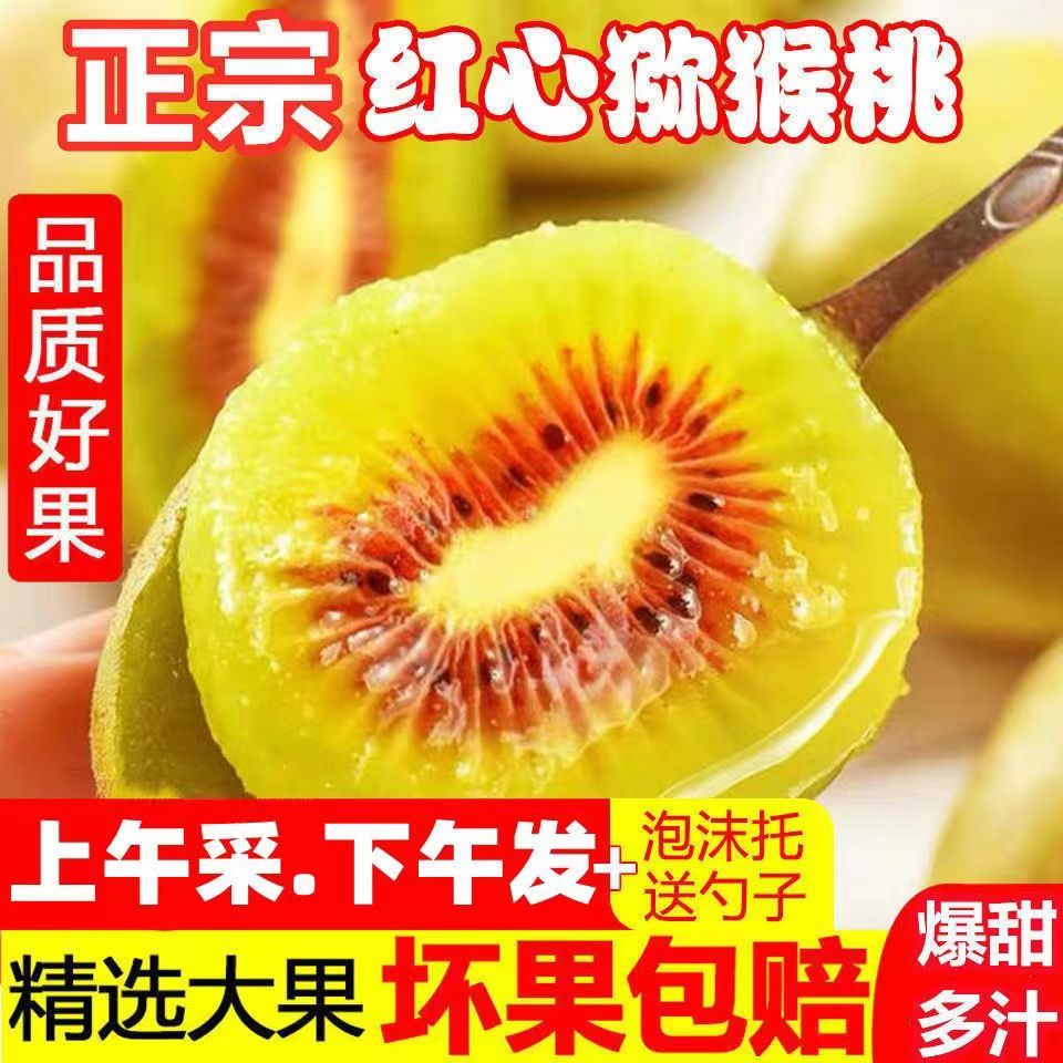 正宗四川苍溪红心猕猴桃新鲜果园当季水果奇异果坏果包赔孕妇儿童