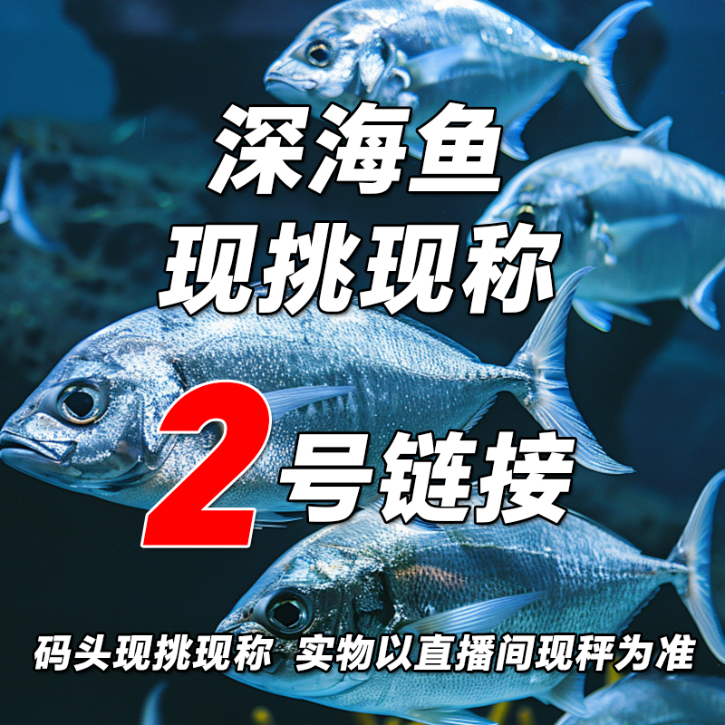 深海鱼野生海捕直播间现挑现称2号链接  链接二