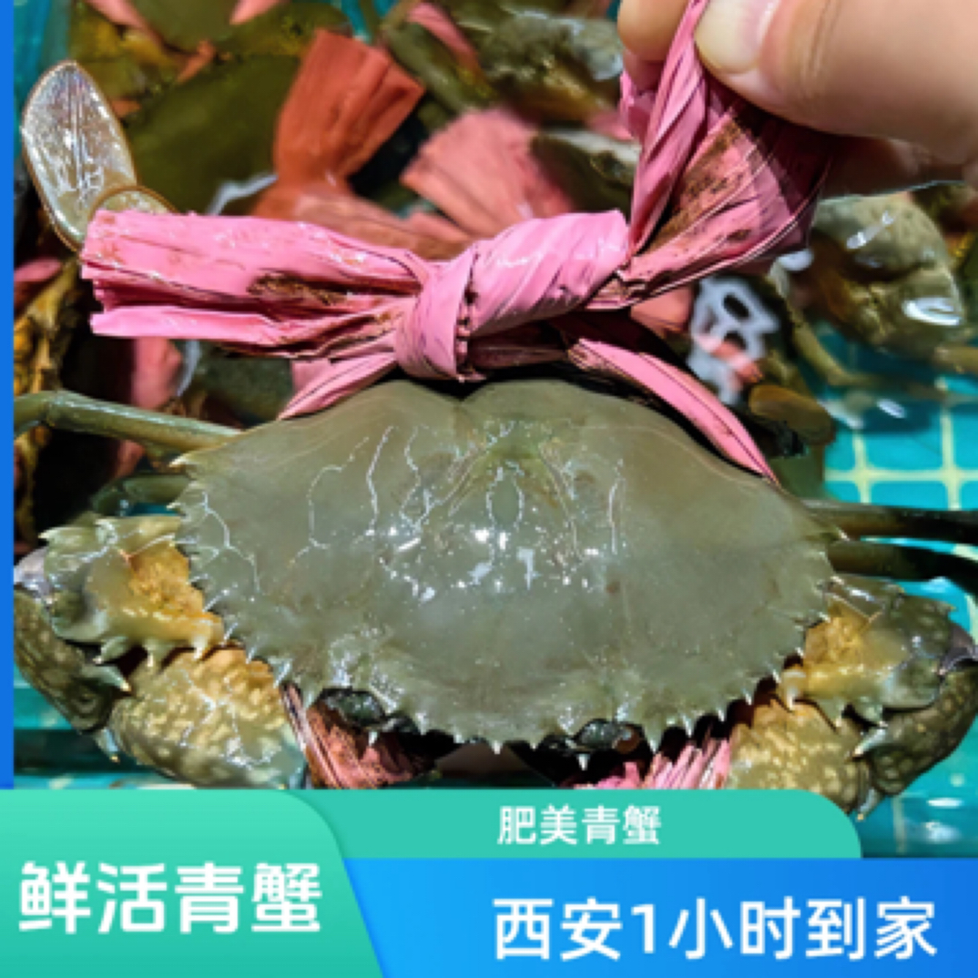 【鲜活青蟹★方欣二丫海鲜】肥美青蟹香辣 煲粥西安一个小时送到家