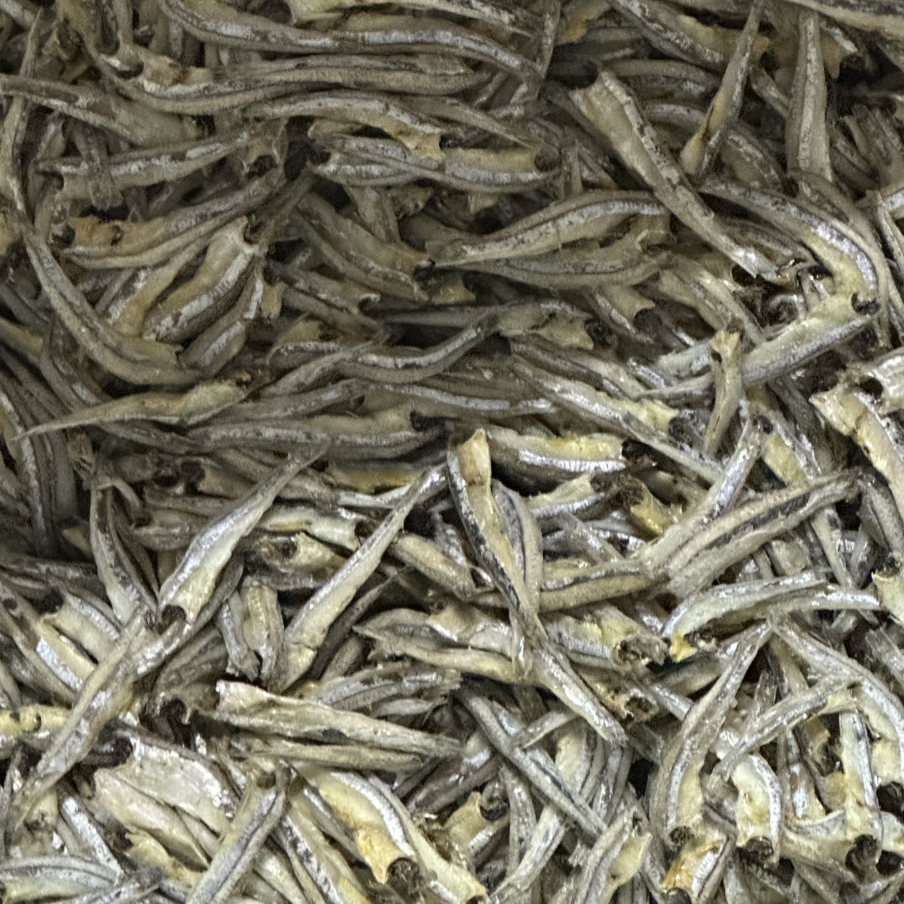 惠来本港生鲜鱼仔食用农产品（500克）