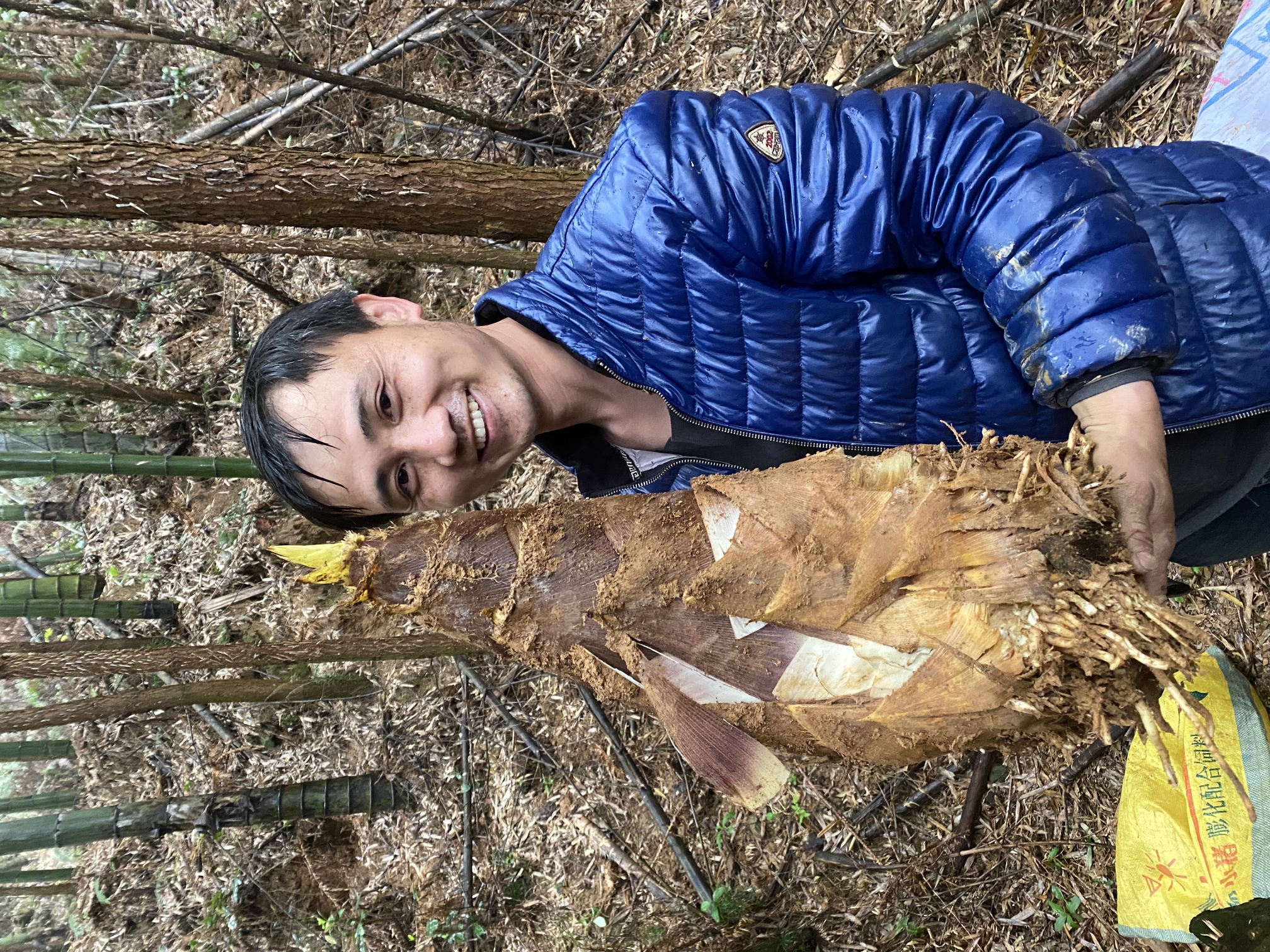 老李山货江西特产春笋1000克