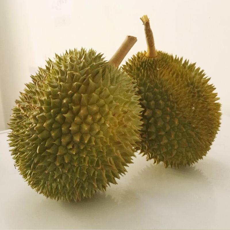 金枕榴莲 6-7 头整箱