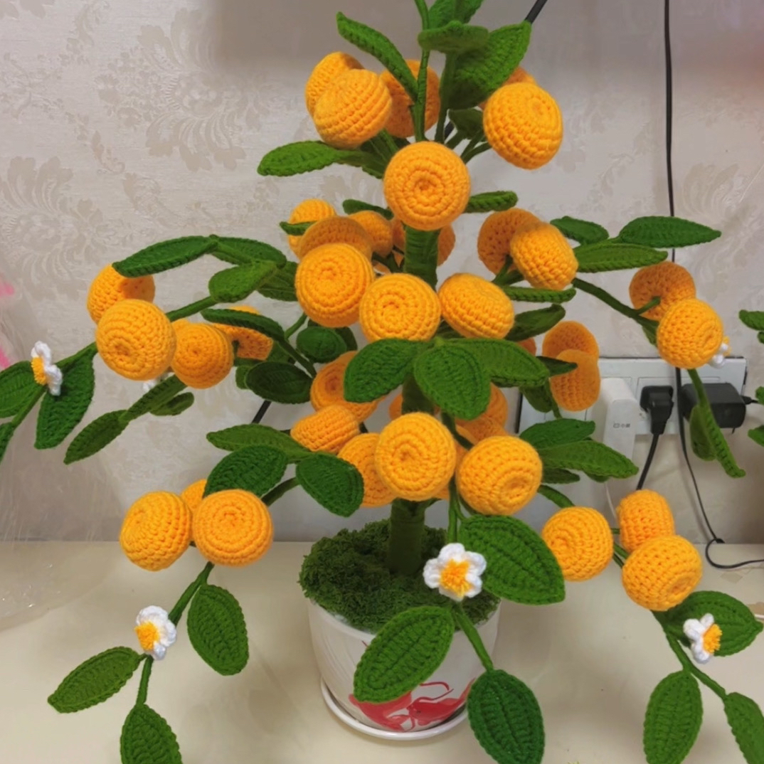 小琴家，小金橘材料包，非成品，带视频教程，不带花盆