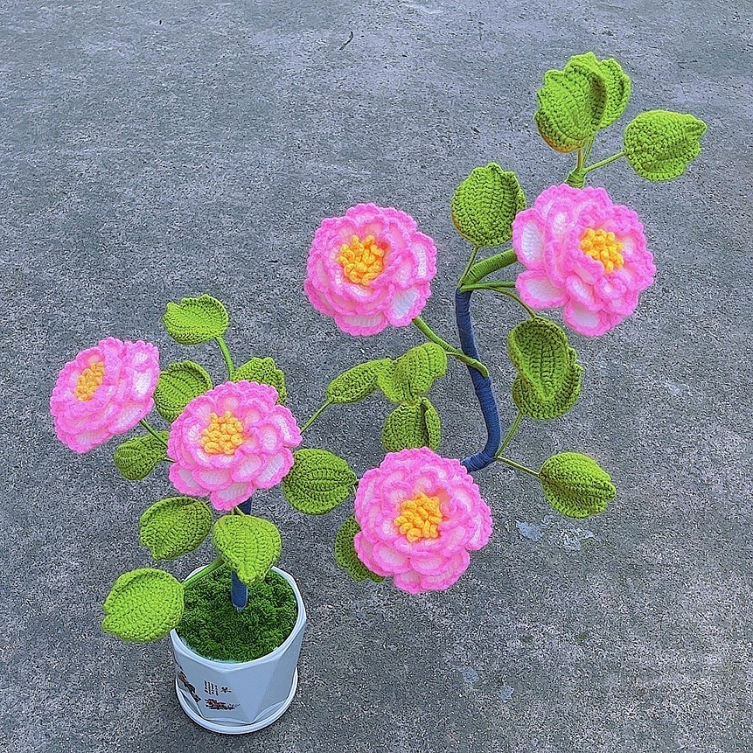 小琴家，升级版牡丹花材料包，带视频教程，不带花盆，