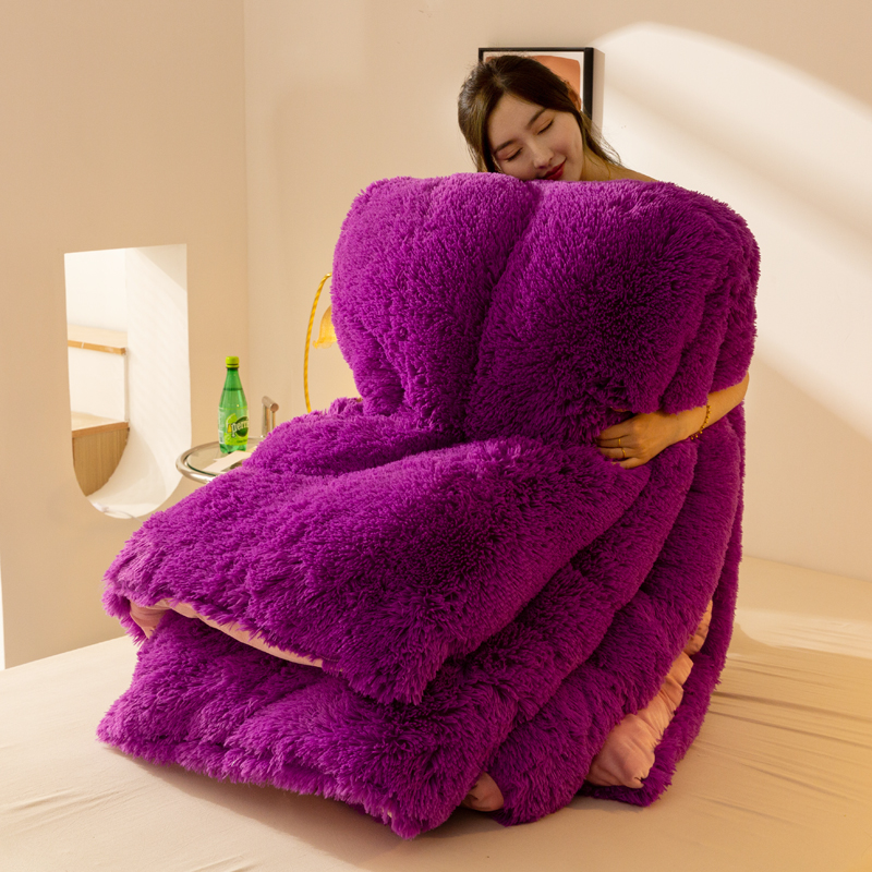 双面牛奶绒被芯被子冬被春秋被家用加厚保暖水貂绒棉絮四季通用