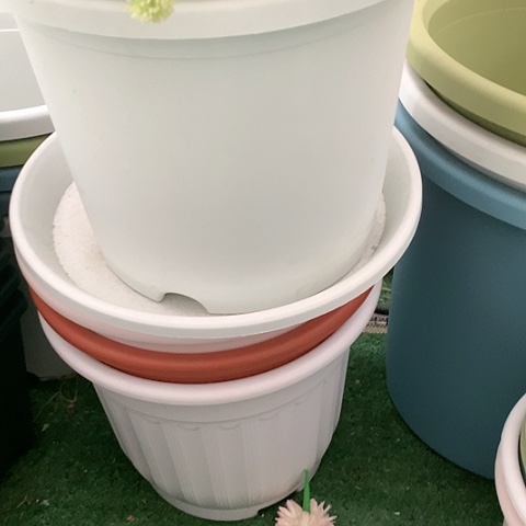 树脂20CM（含）-50CM（不含）4加奶白无托5个