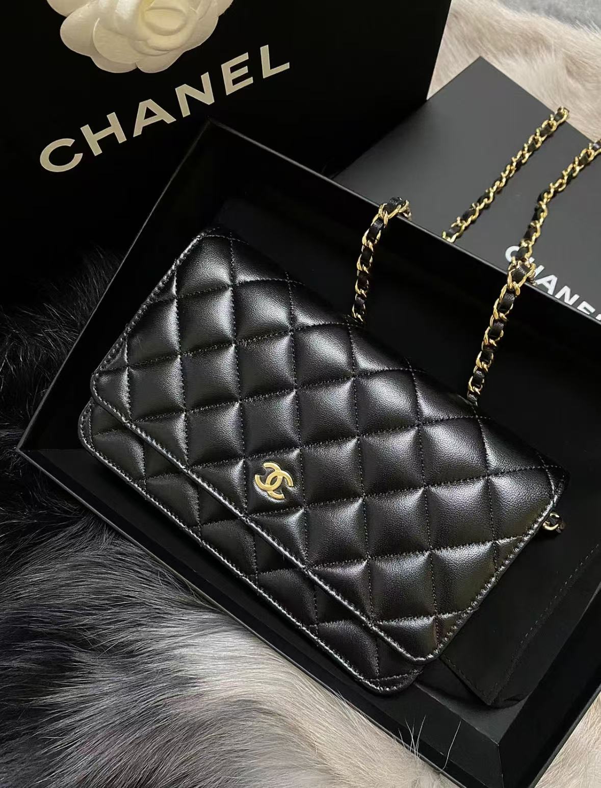 95新 Chanel/香奈儿 黑金咩咩皮woc包 19cm  10713296