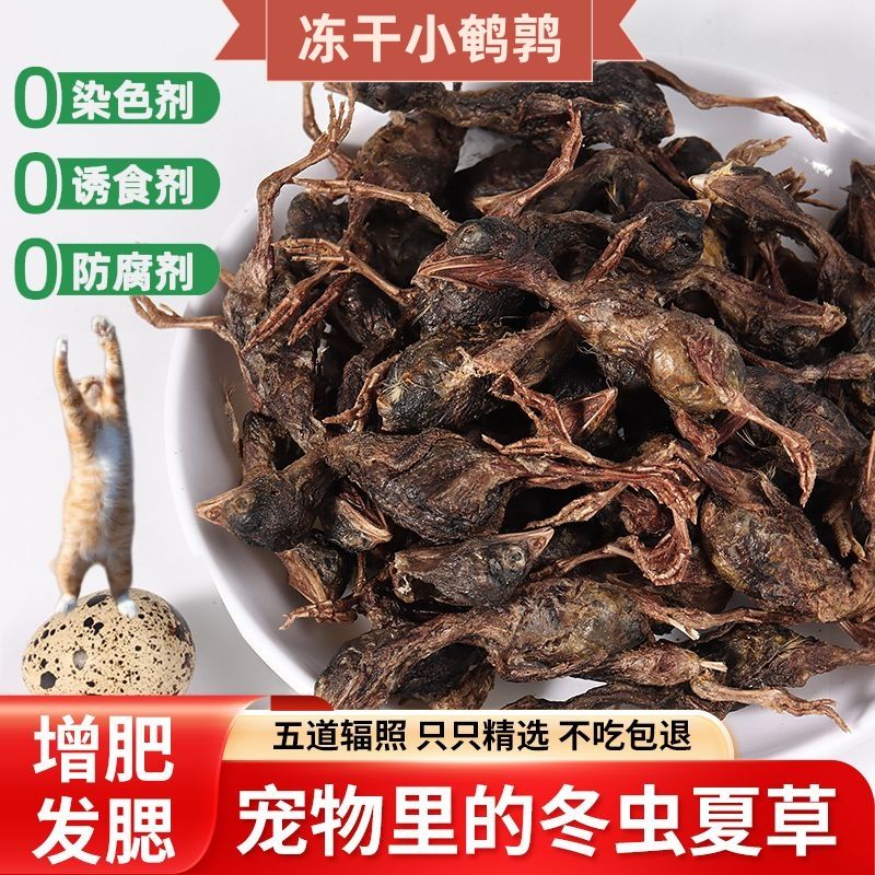 萌宠猫咪零食鹌鹑冻干鹌鹑纯肉发腮增肥补钙补充营养狗狗猫零食大