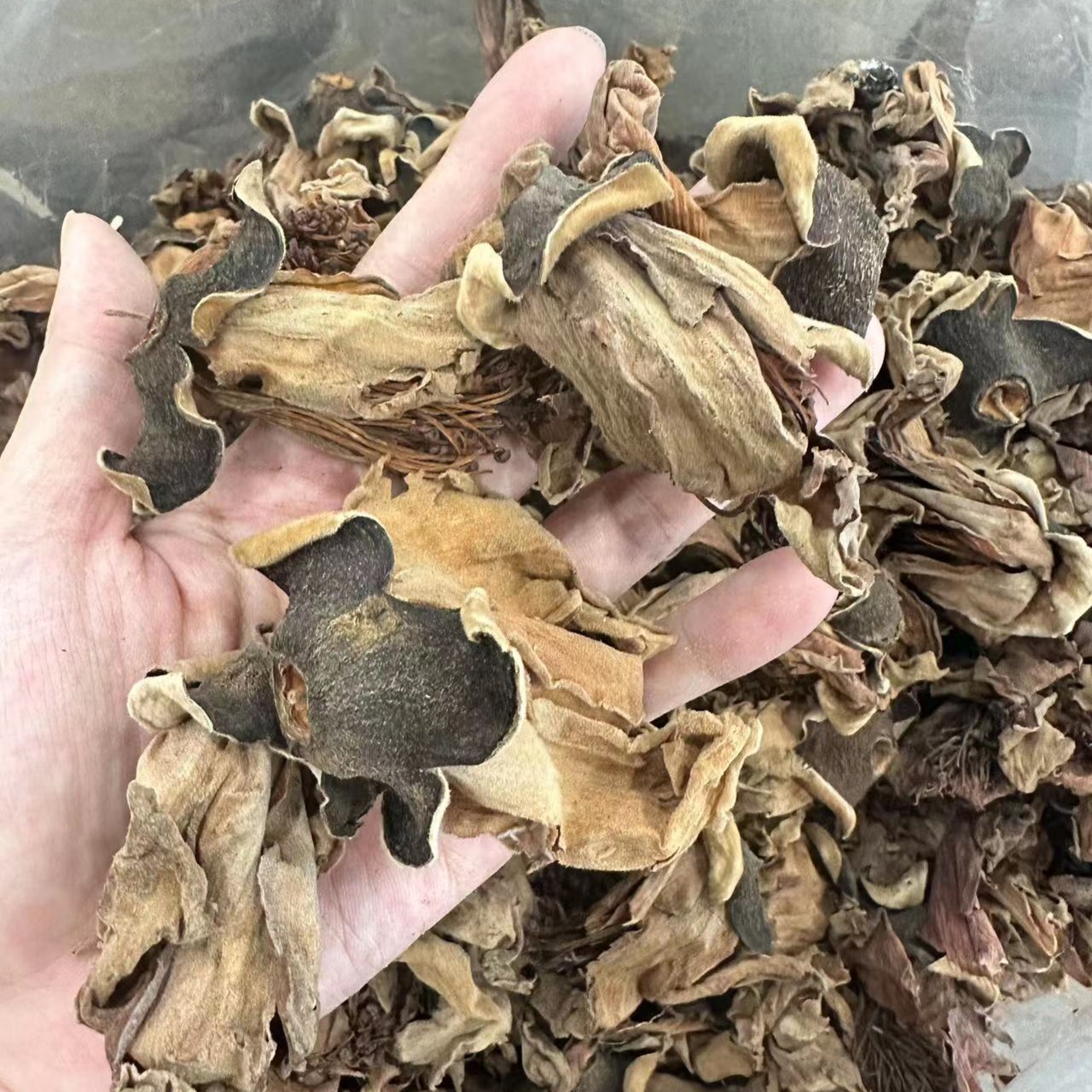 足干木棉花 无硫