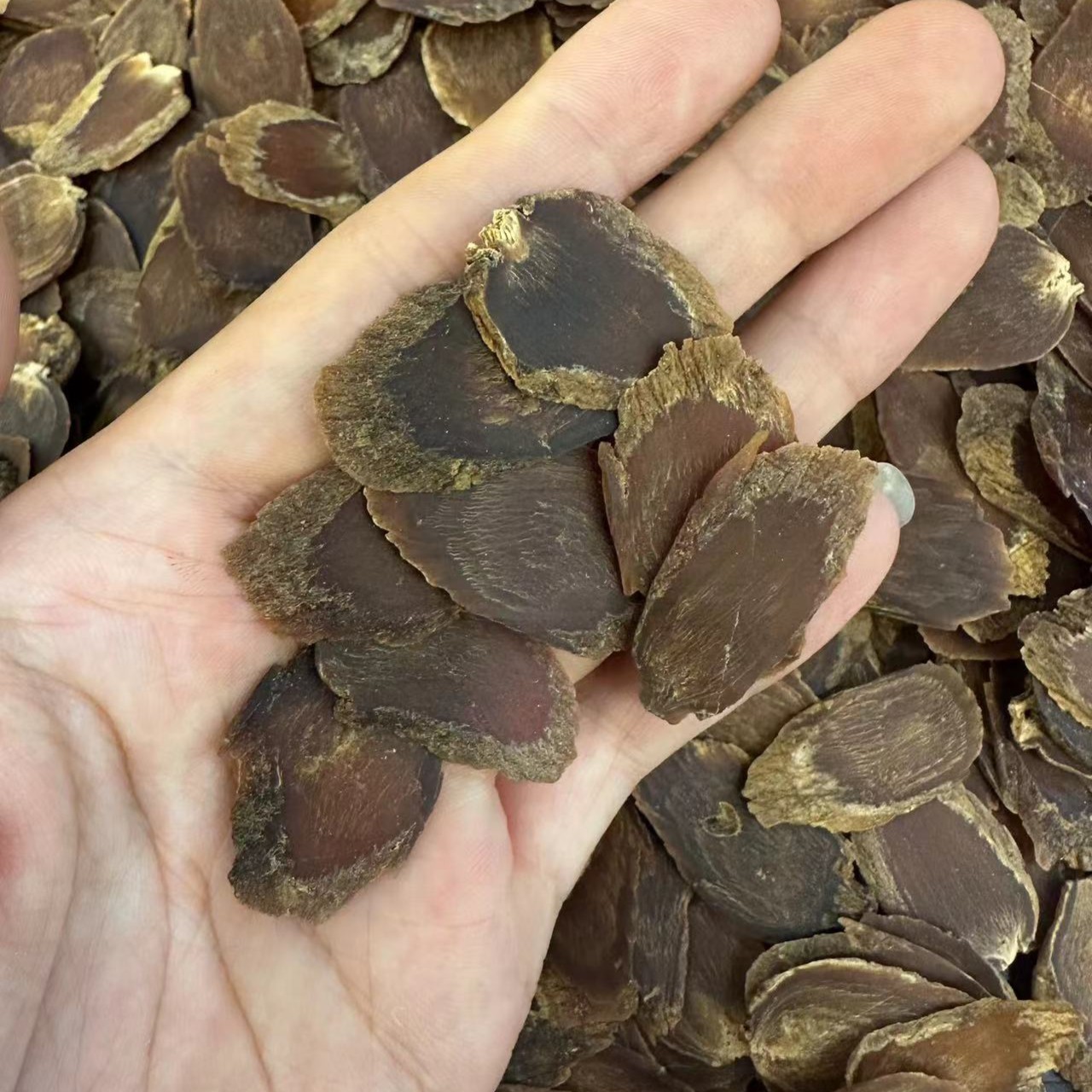 长白山6-8年红参片