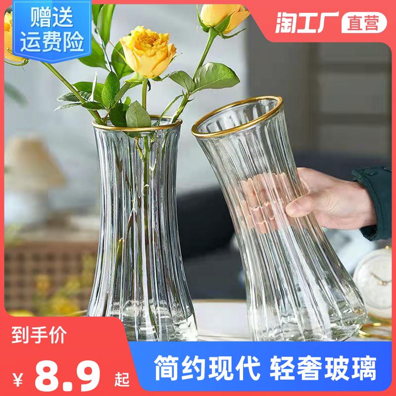 轻奢玻璃花瓶插花富贵竹水培装饰摆饰客厅玄关桌面大号卧室房间
