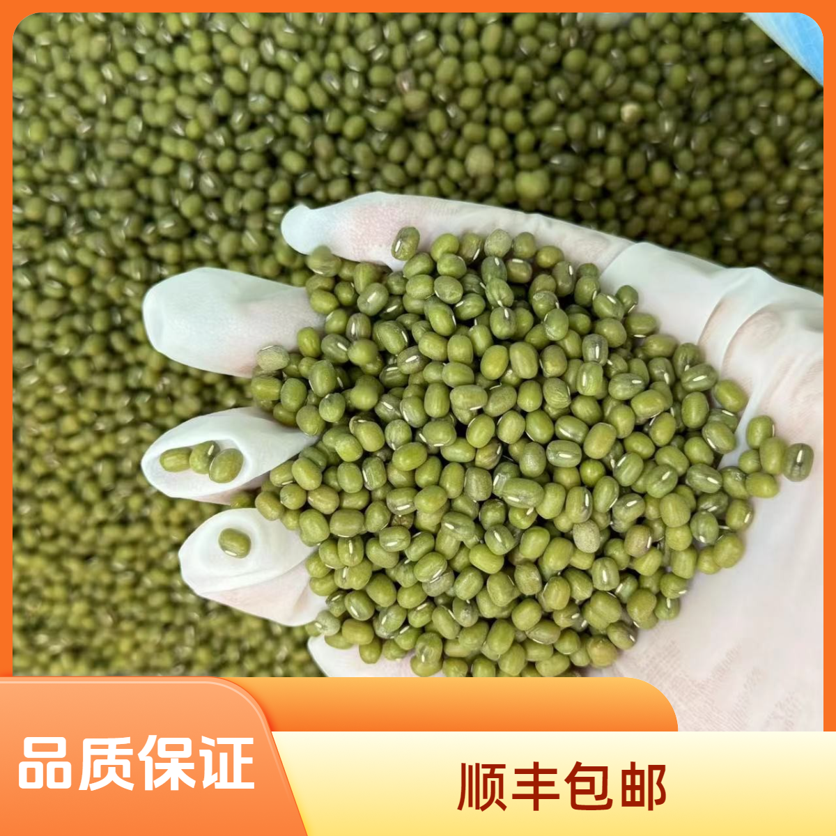 培辉堂精选 绿豆 