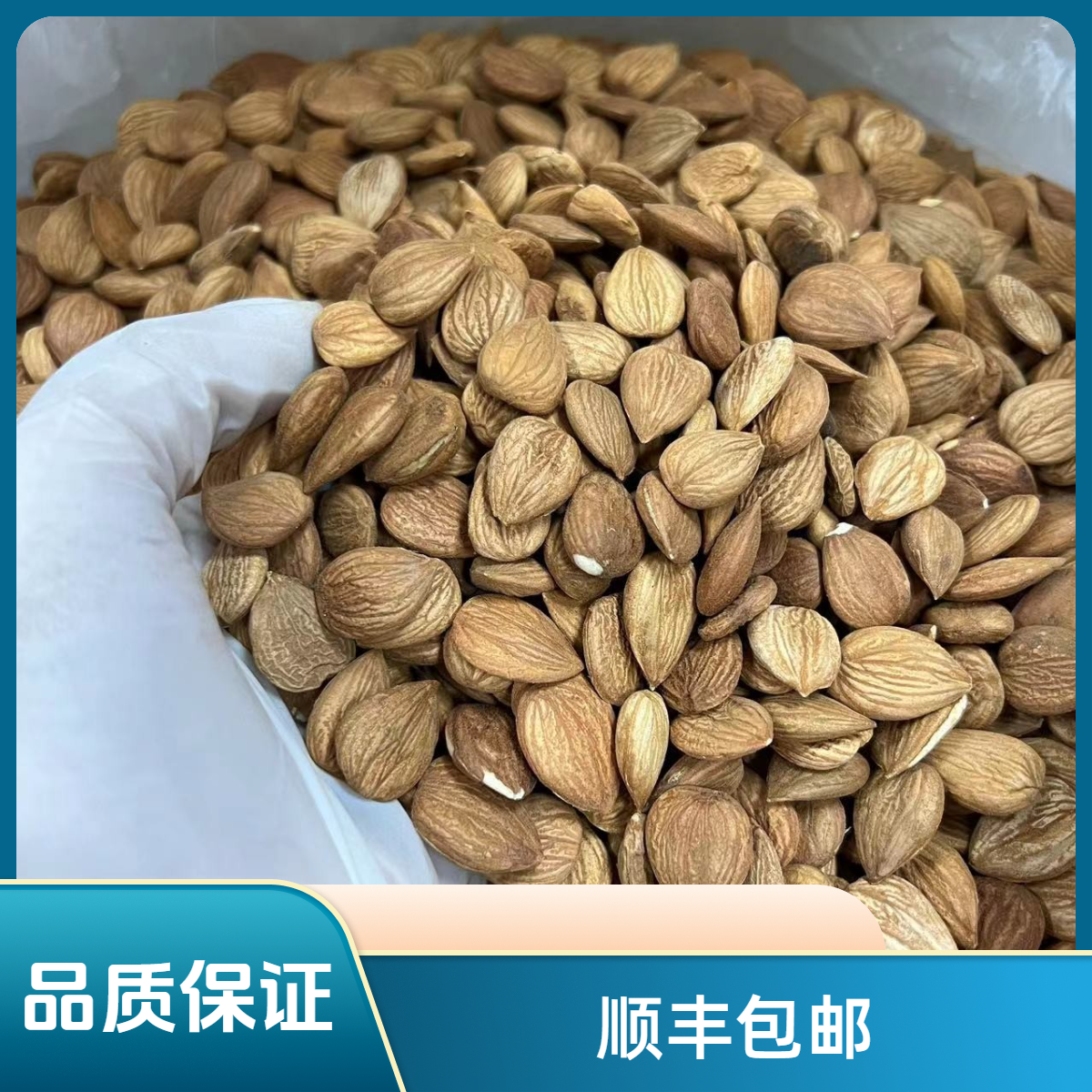 培辉堂南 北 杏仁