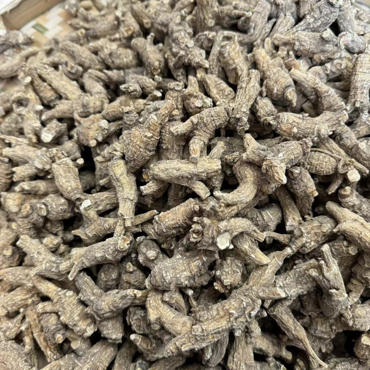 培辉堂精选 花旗参