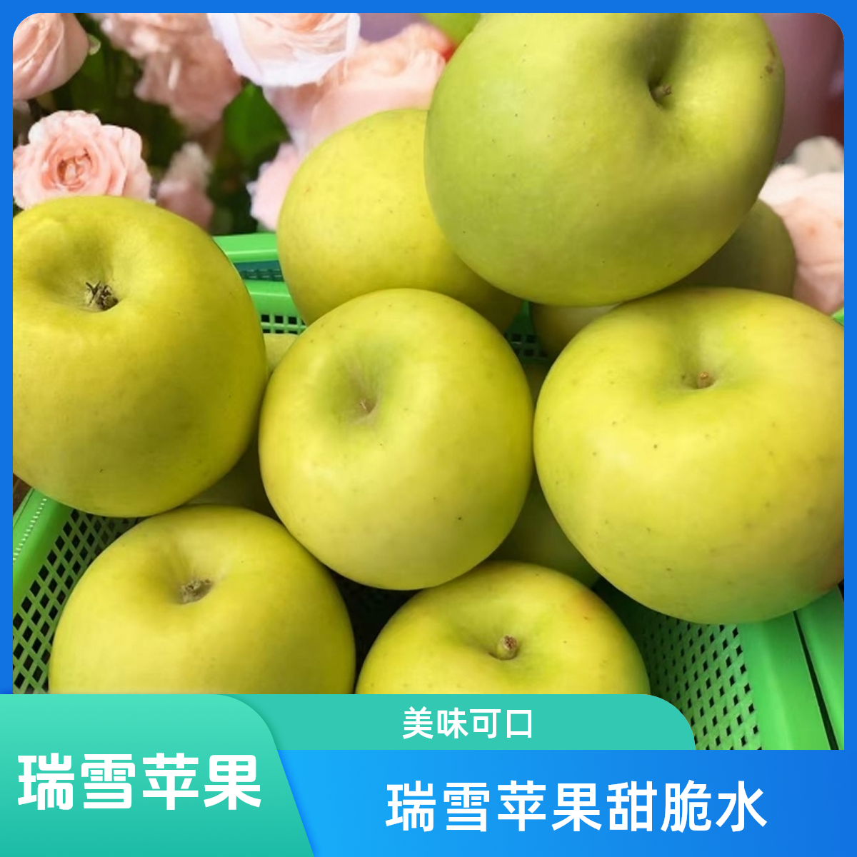 瑞雪苹果1000g#平安果#圣诞甜脆可口云南省