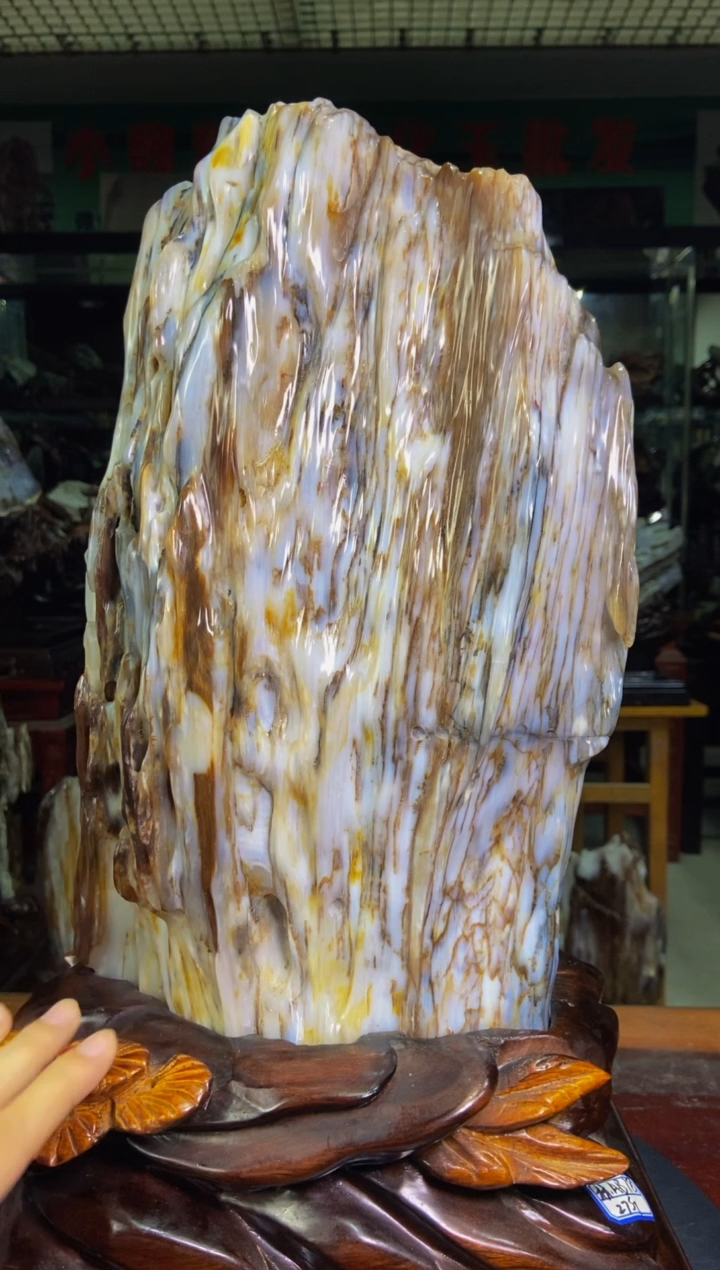 【闪购商品】硅化玉1未镶嵌1111111111