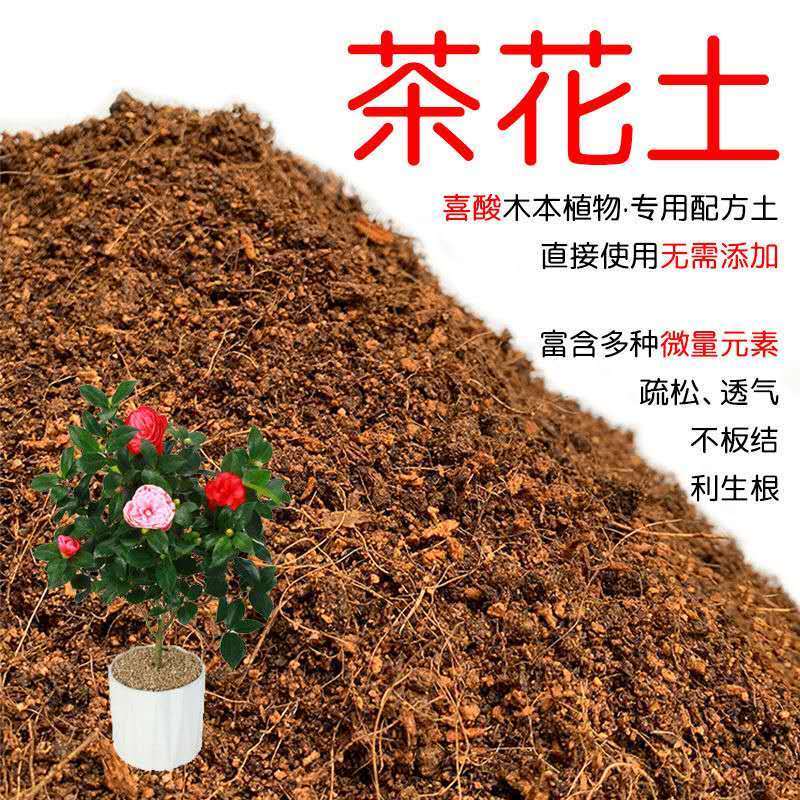 茶花土茶花专用土营养土弱酸性土壤绿植物盆栽山茶花土红土花泥