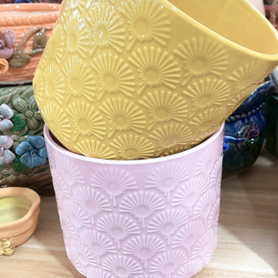 【闪购商品】红陶15cm以下