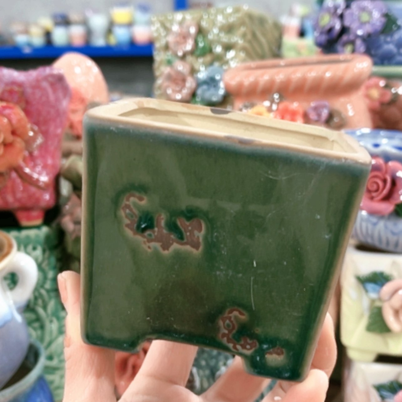 【闪购商品】红陶15cm以下