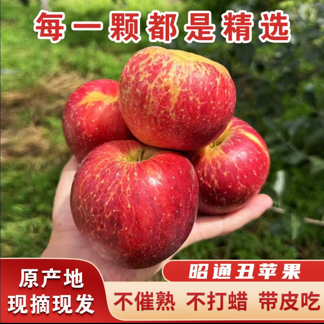 现摘现发云南昭通冰糖心丑苹果脆甜多汁新鲜好吃精选5/10斤包邮商品图