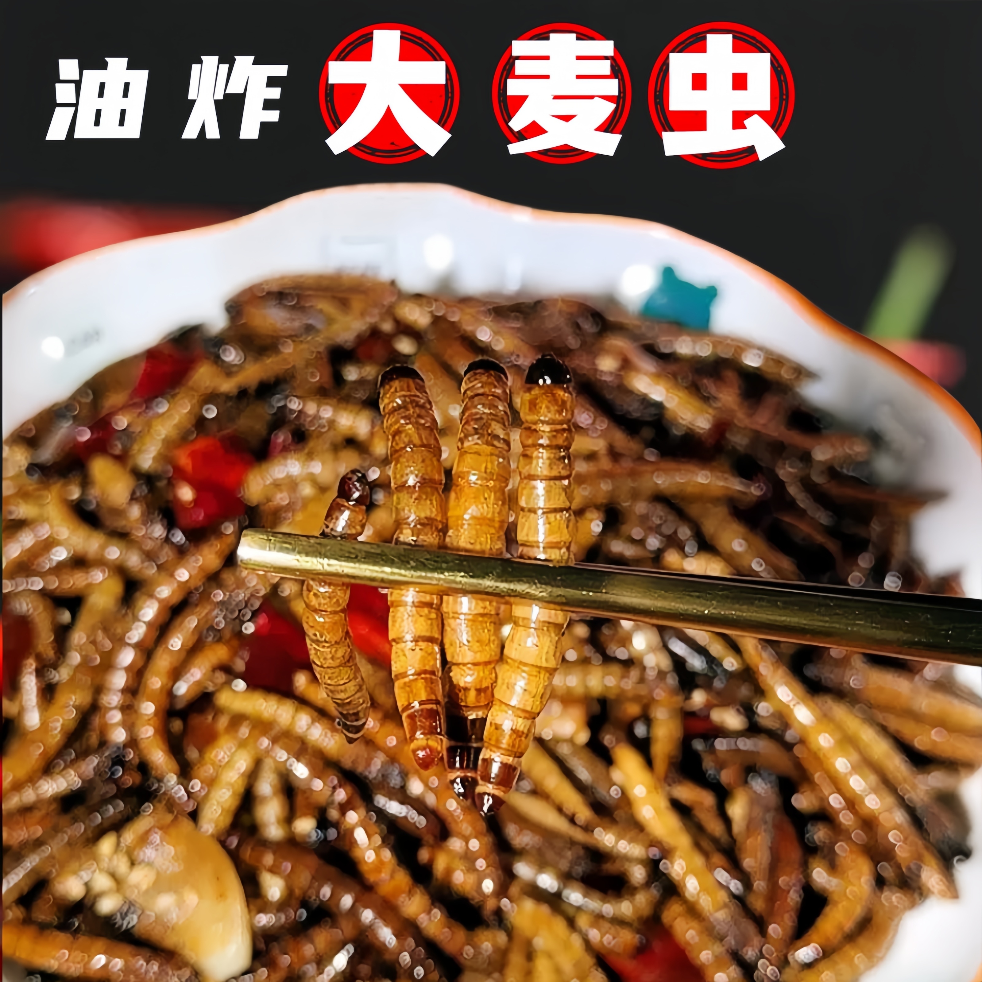 香酥大麦虫五香麻辣高蛋白养生滋补佳品健康昆虫小零食活虫现炸