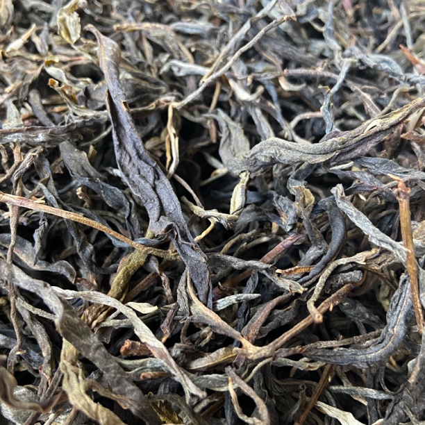 2024年凤庆大雪山·古树韵·晒青茶（初制茶）蜜糖香花香生津回甘250g