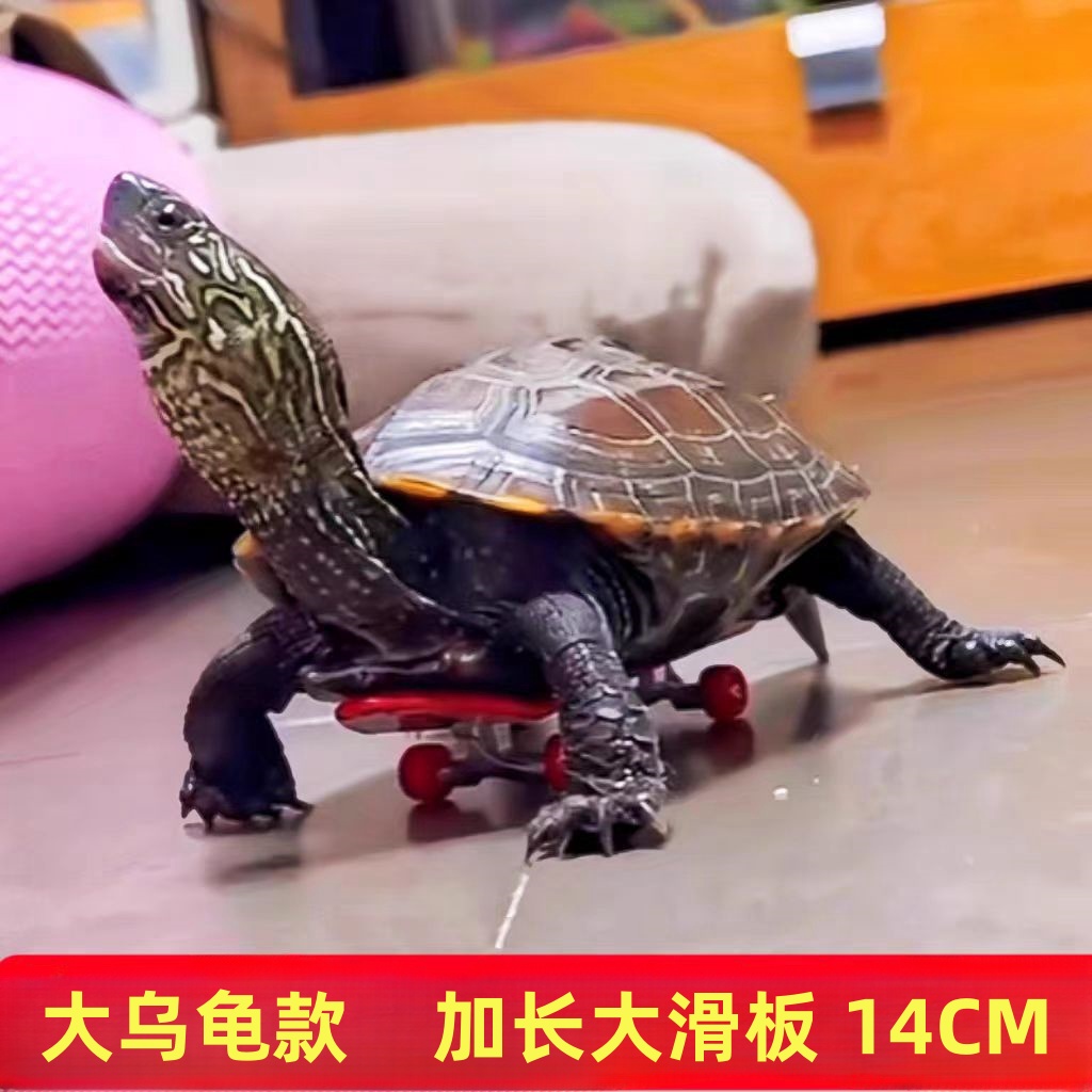 乌龟滑板宠物玩具手指滑板创意指尖手指滑板减压玩具搞笑高级diy