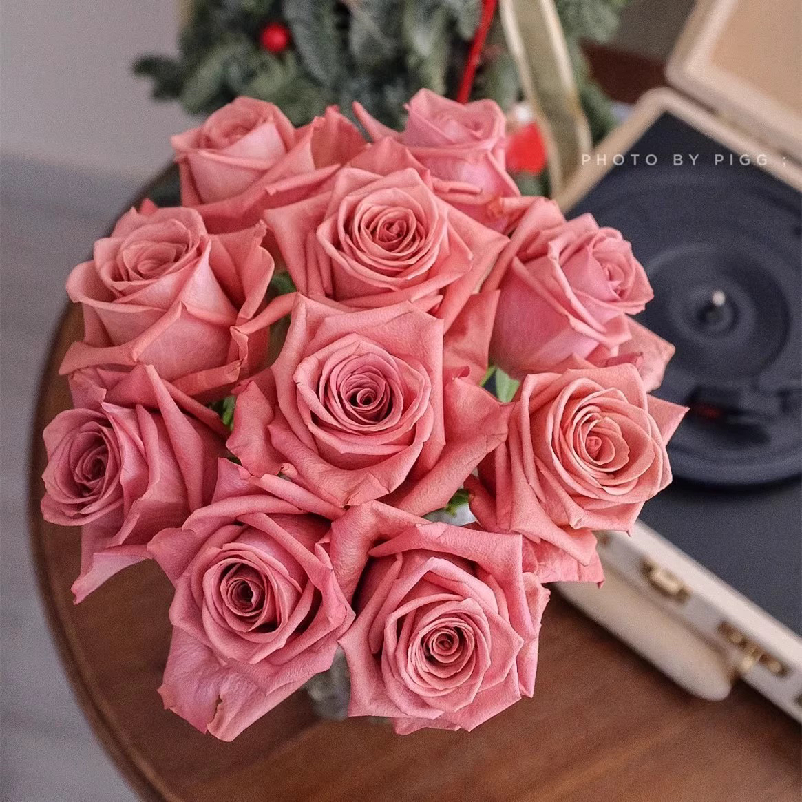 超新品老头花园咖啡师月季切花玫瑰花苗庭院阳台盆栽花卉四季开花