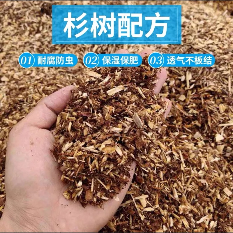兰花土【兰科植物营养土】  疏松壮根护根专业新型配方特惠养兰