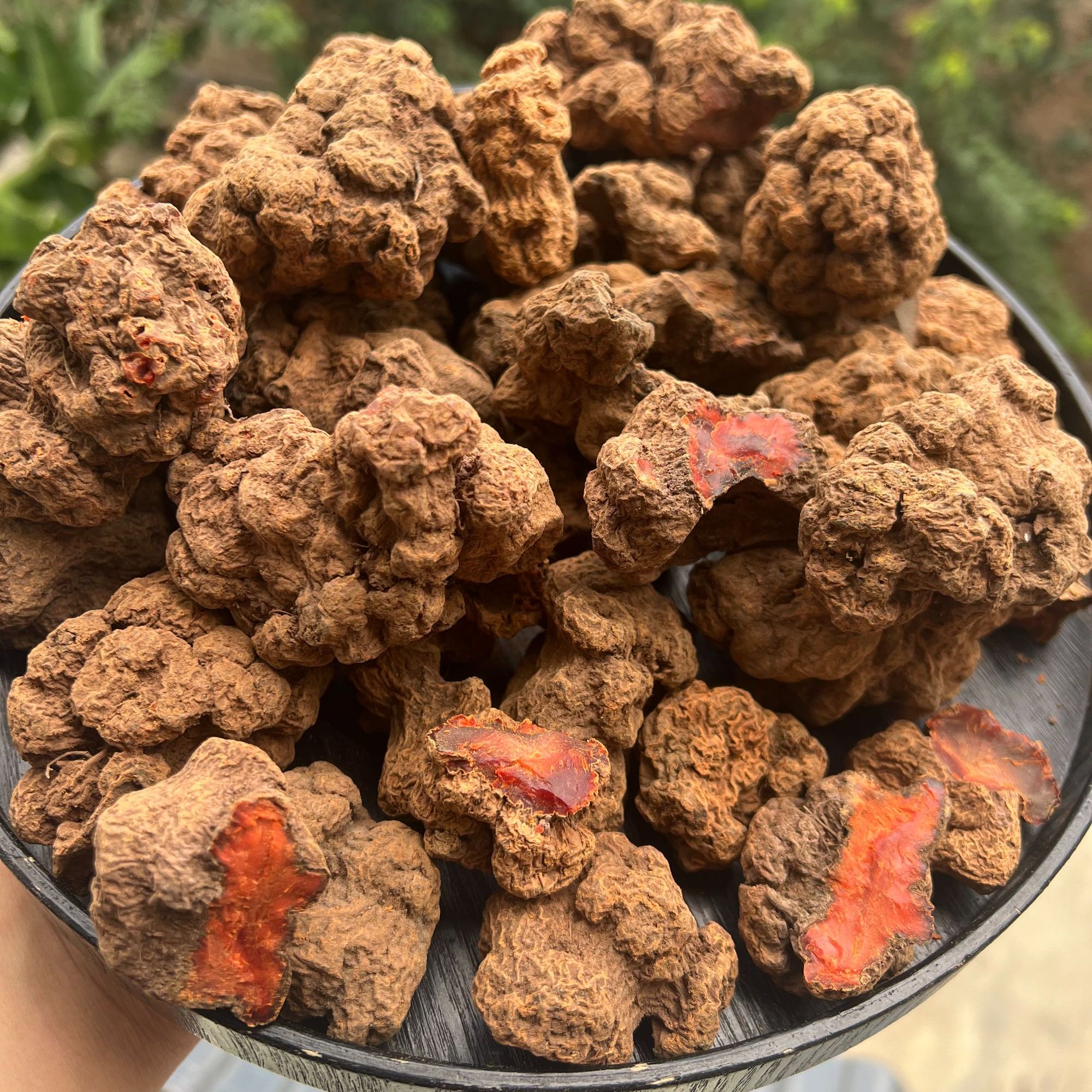 【王】初级农产品【桖·菩·提】250g/ 500g可搭配枸杞使用