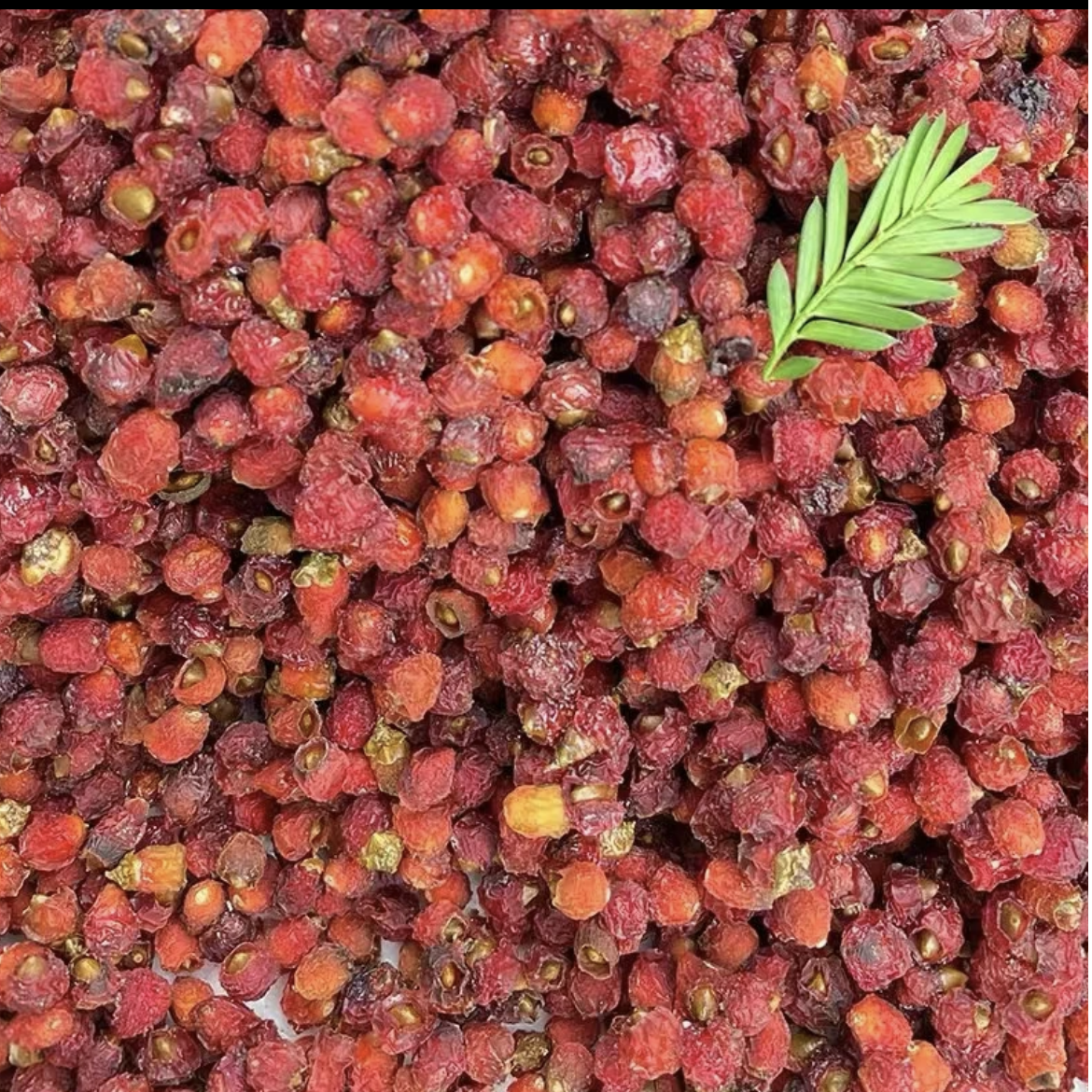 （月1）初级农产品【红·豆·杉】250g 500g 可搭配枸杞使用