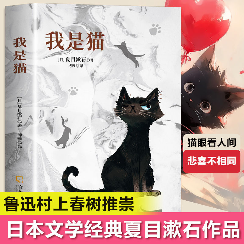 我是猫正版夏目漱石原著外国小说世界经典文学青少年课外阅读书籍