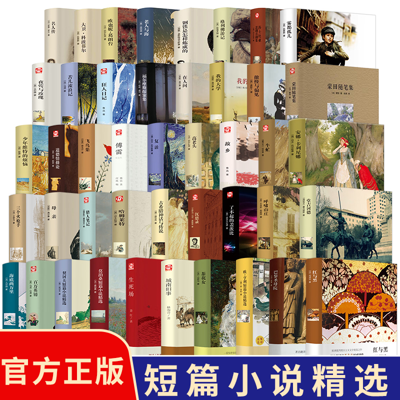 世界名著硬壳精装名人传猎人笔记安娜复活巴黎圣母院世界名著