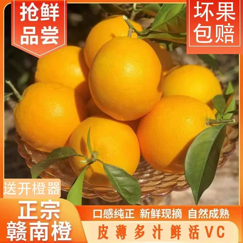 正宗江西赣南脐橙原产地直发10斤zj2